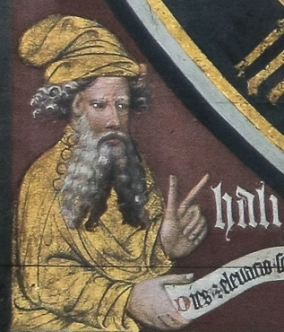 Ali ibn Ridwan