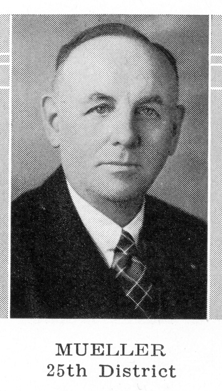 Otto Mueller