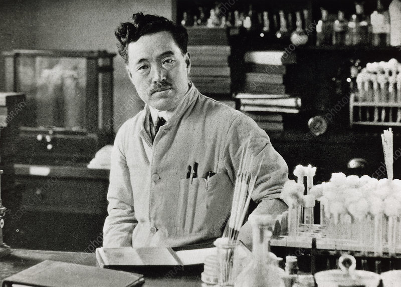 Hideyo Noguchi
