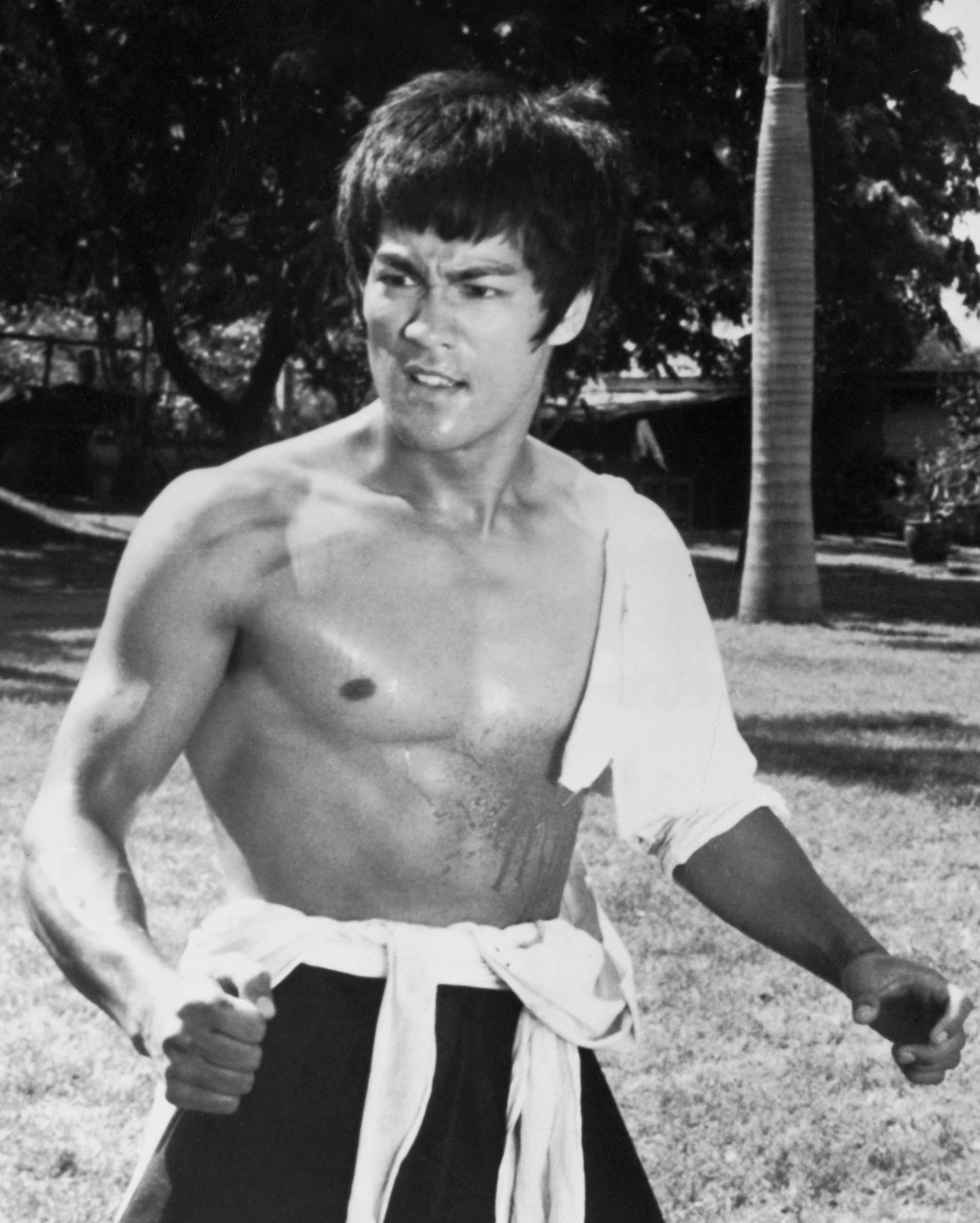 Lee Jun-fan (Bruce Lee)